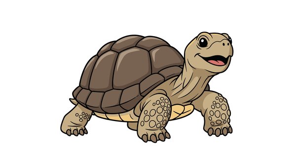 Bild vergr&ouml;&szlig;ern: Schildkröte